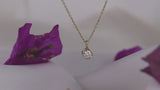Chain Choker Necklace in Gold with Diamonds
